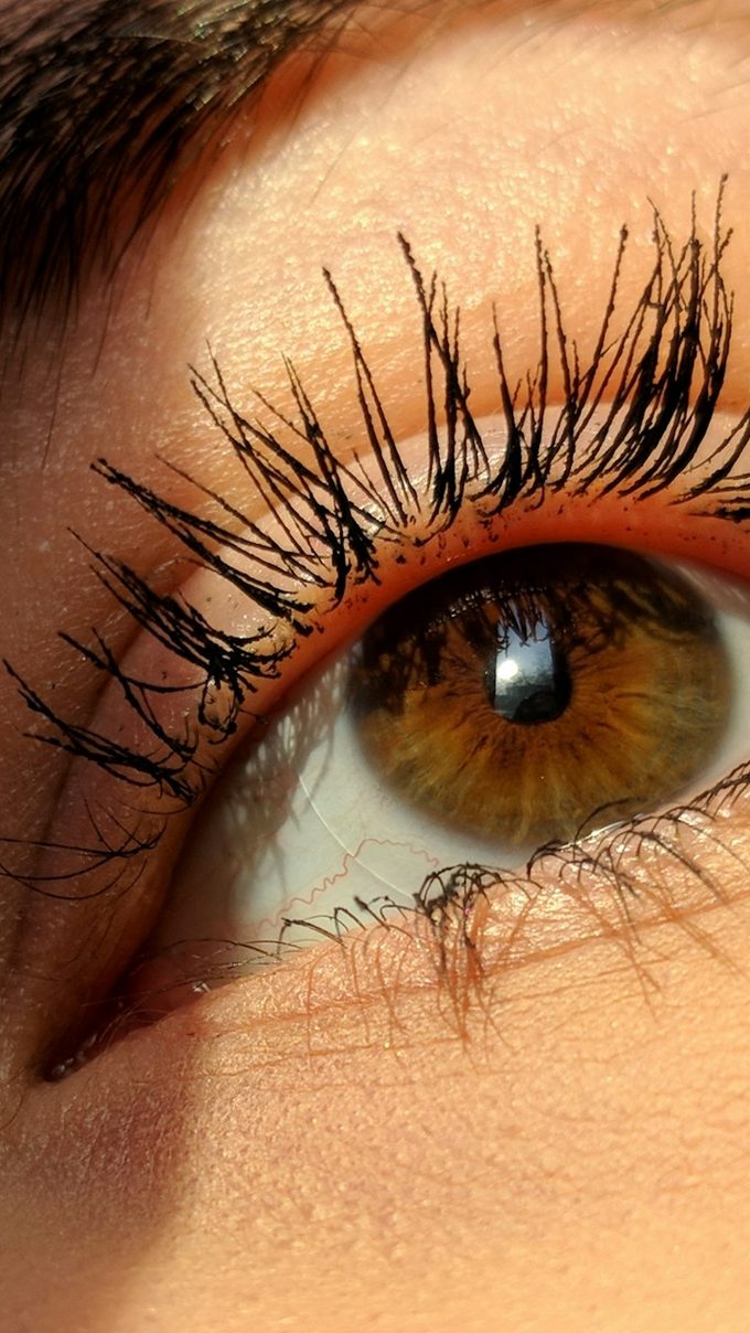 Brune volume lashes